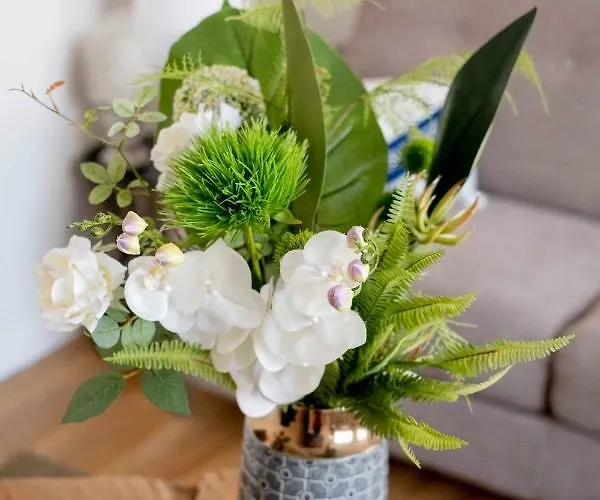 Апартаменты Elegant En Plein Coeur De - Les Locations De Proust *