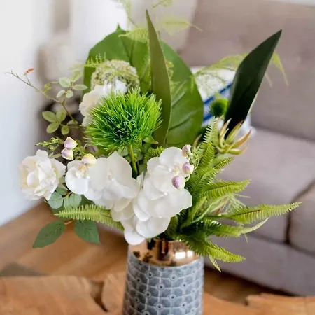 Apartment Elegant En Plein Coeur De - Les Locations De Proust *